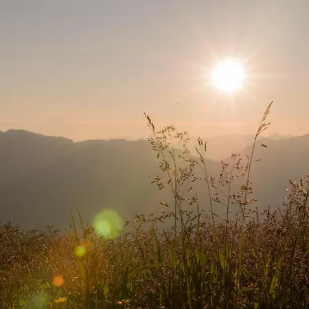 Sonnenhof 酒店 齐勒河谷采尔